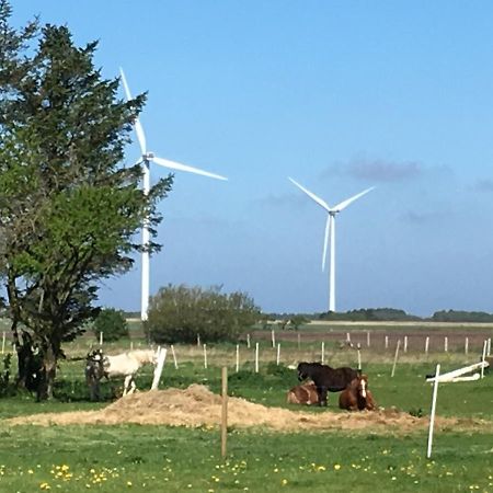 Gaestehuset “Vesterhede” Ringkøbing Zewnętrze zdjęcie