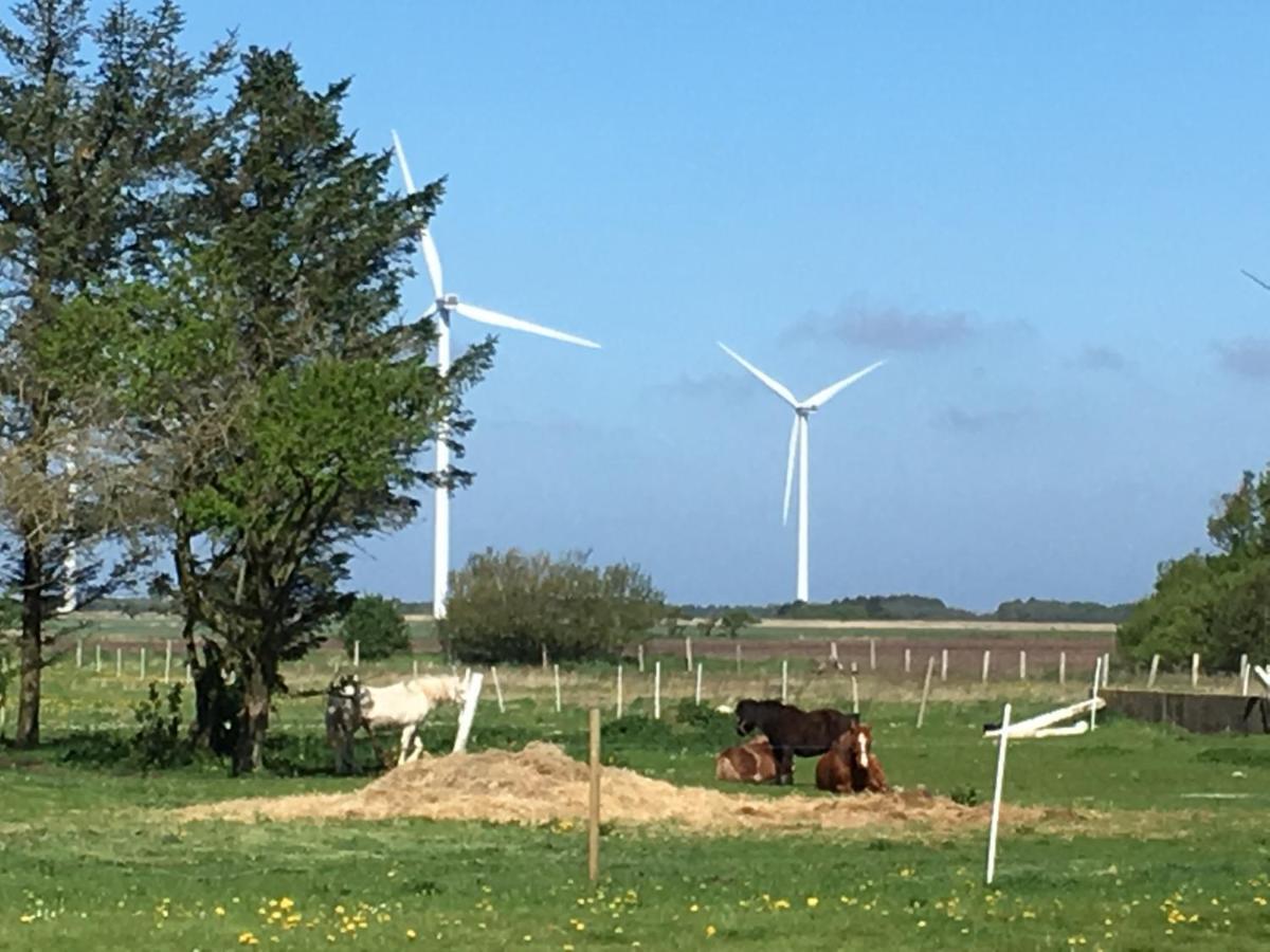 Gaestehuset “Vesterhede” Ringkøbing Zewnętrze zdjęcie