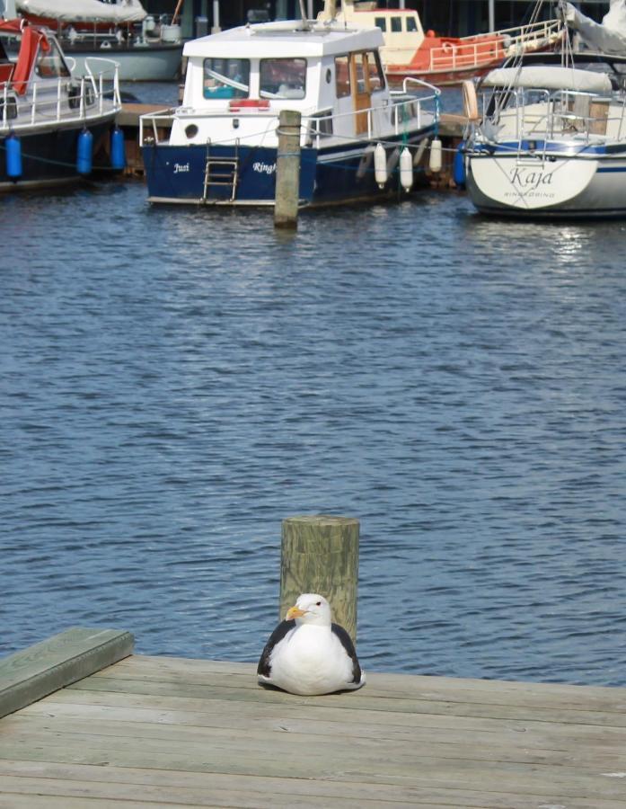 Gaestehuset “Vesterhede” Ringkøbing Zewnętrze zdjęcie